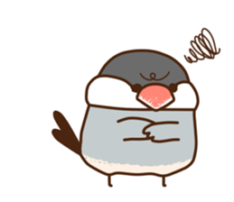 The java sparrow. sticker #10863058