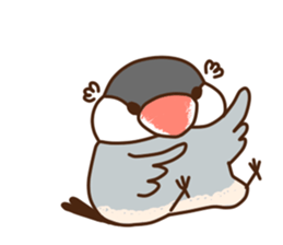 The java sparrow. sticker #10863059