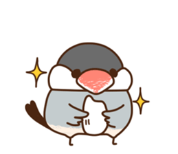 The java sparrow. sticker #10863068