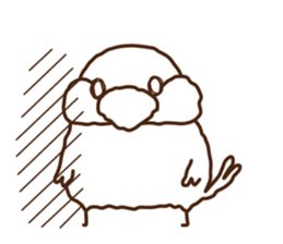 The java sparrow. sticker #10863070