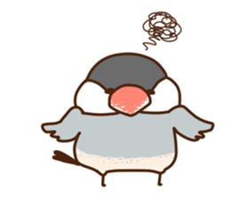 The java sparrow. sticker #10863075