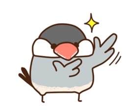The java sparrow. sticker #10863077