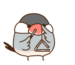 The java sparrow. sticker #10863079