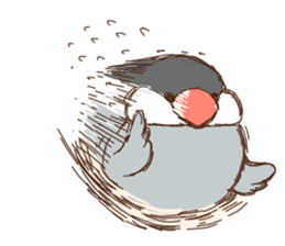 The java sparrow. sticker #10863083