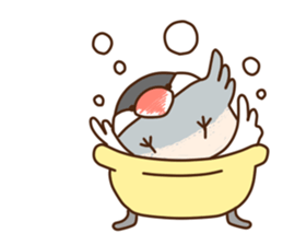 The java sparrow. sticker #10863084