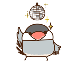 The java sparrow. sticker #10863085