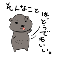 Cape Hyrax kun sticker #10864169