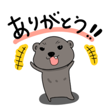 Cape Hyrax kun sticker #10864181