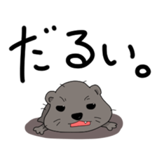 Cape Hyrax kun sticker #10864186