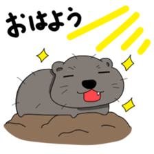 Cape Hyrax kun sticker #10864192