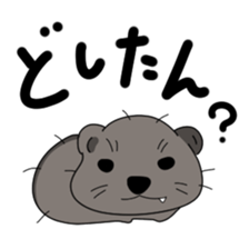 Cape Hyrax kun sticker #10864201