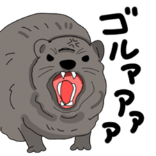 Cape Hyrax kun sticker #10864206