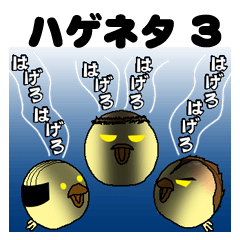 Bald bird three brothers 3