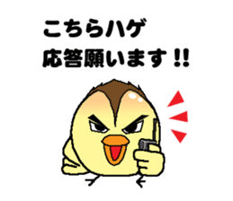 Bald bird three brothers 3 sticker #10864528