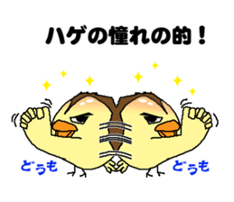 Bald bird three brothers 3 sticker #10864537