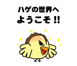 Bald bird three brothers 3 sticker #10864547