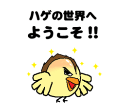 Bald bird three brothers 3 sticker #10864547