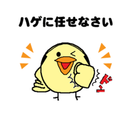 Bald bird three brothers 3 sticker #10864552