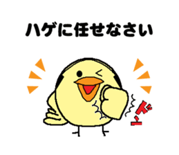 Bald bird three brothers 3 sticker #10864552