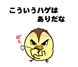 Bald bird three brothers 3 sticker #10864555