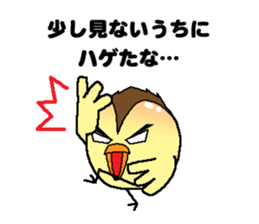 Bald bird three brothers 3 sticker #10864562