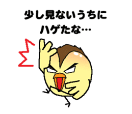 Bald bird three brothers 3 sticker #10864562