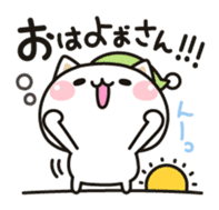 Cat to concern(Kansai dialect ver.) sticker #10865782