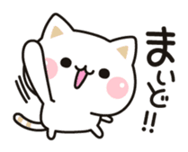 Cat to concern(Kansai dialect ver.) sticker #10865787