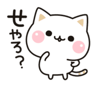 Cat to concern(Kansai dialect ver.) sticker #10865804