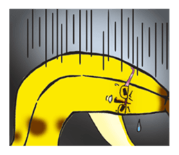 Banao,The Elite Banana Pair! sticker #10869203
