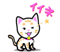 tama of cat sticker #10870619