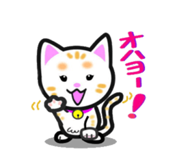 tama of cat sticker #10870621