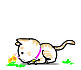 tama of cat sticker #10870625