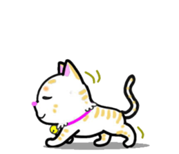 tama of cat sticker #10870629