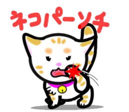 tama of cat sticker #10870633