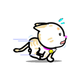 tama of cat sticker #10870653