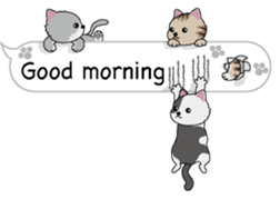 Cat cat cat English version sticker #10876920