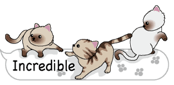 Cat cat cat English version sticker #10876923
