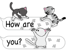 Cat cat cat English version sticker #10876925