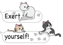 Cat cat cat English version sticker #10876926