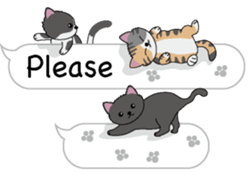Cat cat cat English version sticker #10876928