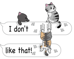 Cat cat cat English version sticker #10876929