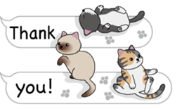 Cat cat cat English version sticker #10876935