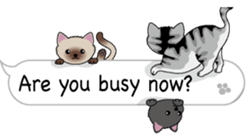 Cat cat cat English version sticker #10876936