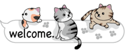 Cat cat cat English version sticker #10876937