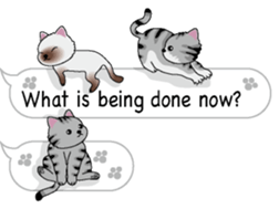 Cat cat cat English version sticker #10876950