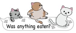 Cat cat cat English version sticker #10876953