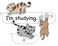 Cat cat cat English version sticker #10876956
