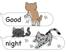 Cat cat cat English version sticker #10876957