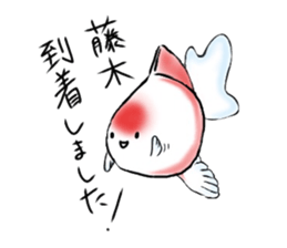 FUJIKI sticker #10877538